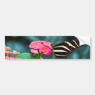 Beautiful butterfly on a pink flower bumper sticker