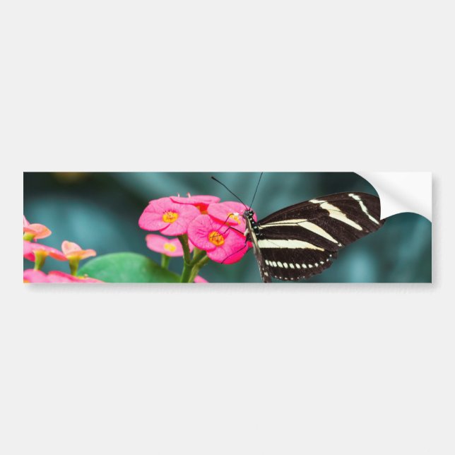 Beautiful butterfly on a pink flower bumper sticker (Front)