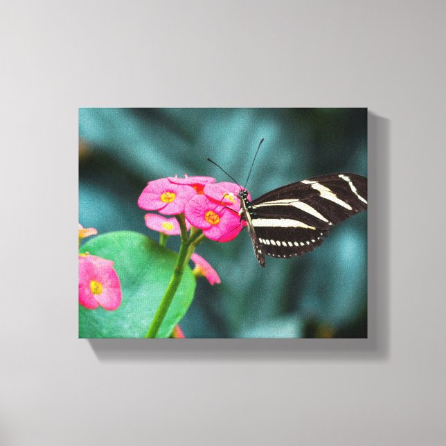 Beautiful butterfly on a pink flower canvas print (Front)