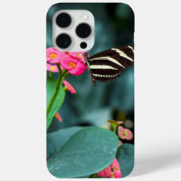 Beautiful butterfly on a pink flower