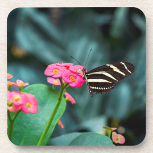 Beautiful butterfly on a pink flower coaster