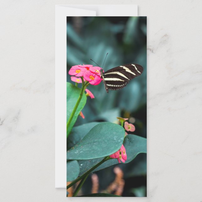 Beautiful butterfly on a pink flower magnetic invitation (Front)