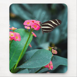 Beautiful butterfly on a pink flower mouse mat