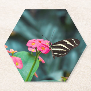 Beautiful butterfly on a pink flower paper coaster