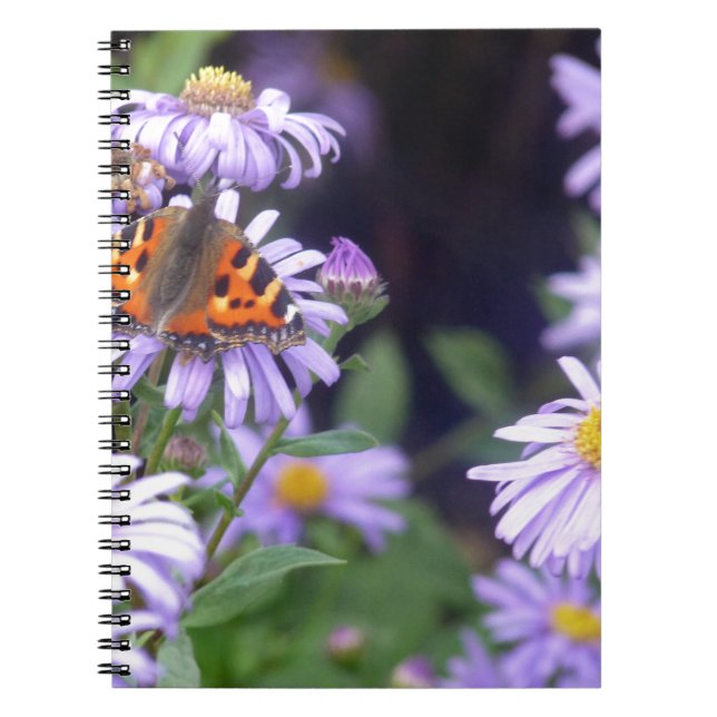 Beautiful Butterfly On Flowers Notebook (Front)