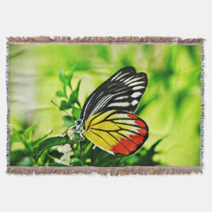 Beautiful Butterfly on Flowers Throw Blanket
