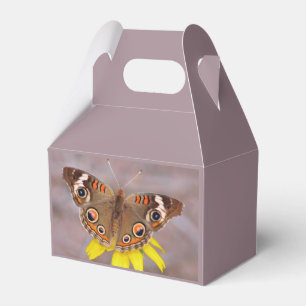 Beautiful Butterfly on Yellow Flower Favour Box