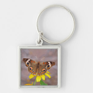 Beautiful Butterfly on Yellow Flower  Key Ring