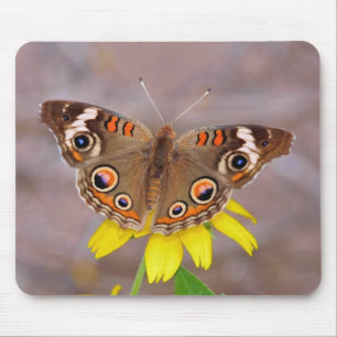 Beautiful Butterfly on Yellow Flower Mouse Mat