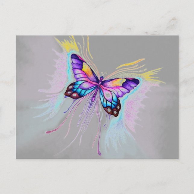 Beautiful Butterfly Postcard (Front)