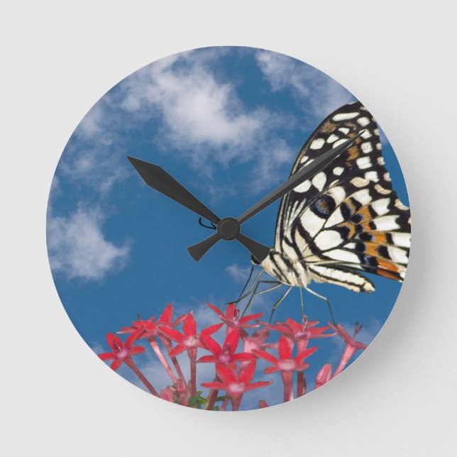 Beautiful Butterfly Round Clock (Front)