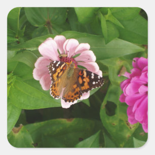 Beautiful Butterfly Sticker Set