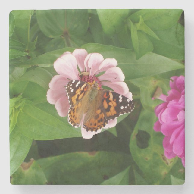 Beautiful Butterfly Stone Coaster (Front)