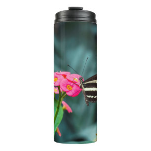 Beautiful butterfly  thermal tumbler