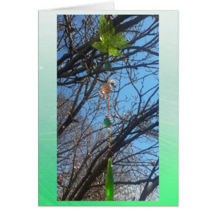 Beautiful Butterfly Wind chime in Trees Blank Card