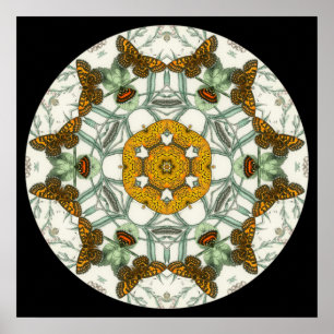 Beautiful  butterfly wings mandala  poster