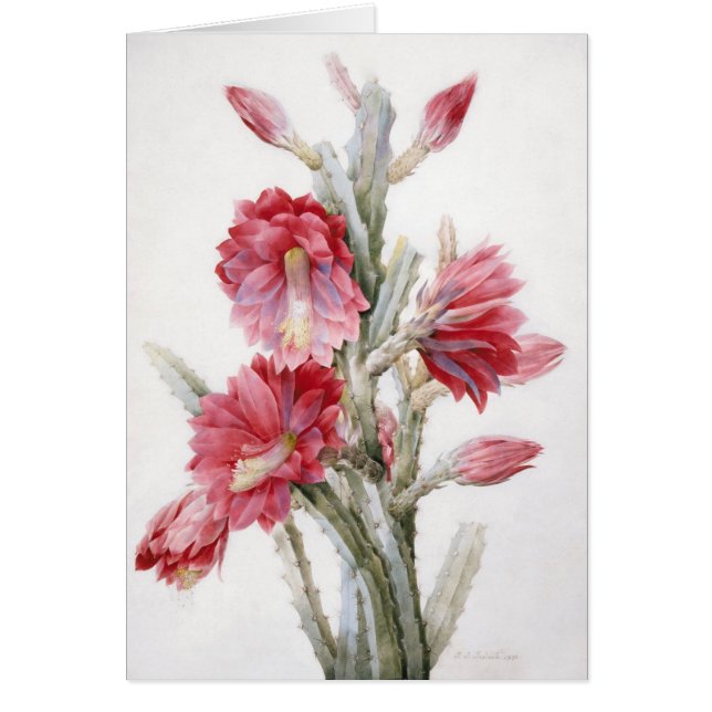 Beautiful Cactus Bloom Watercolor Art (Front)