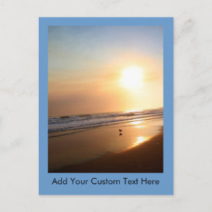 Beautiful California Ocean Sunset Postcard
