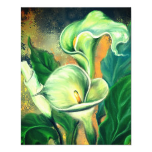 Beautiful Calla Lily Flower - Drawn by Migned Photo Print
