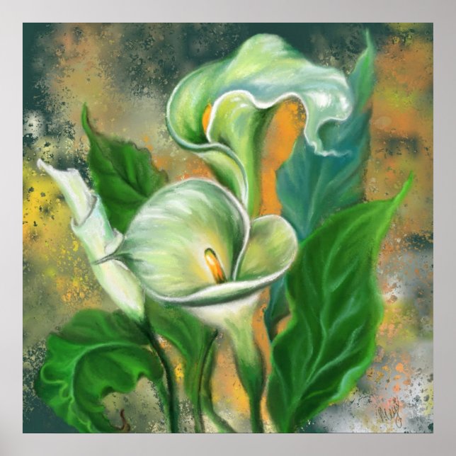 Beautiful Calla Lily Flower - Migned Art Drawing Poster (Front)