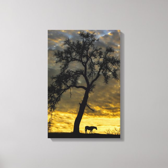 Beautiful Canvas Horse and Oak Tree with Sunrise Print (Front)