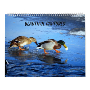 Beautiful Captures Calendar