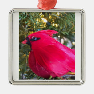 ***BEAUTIFUL CARDINAL*** CHRISTMAS LOVE ORNAMENT