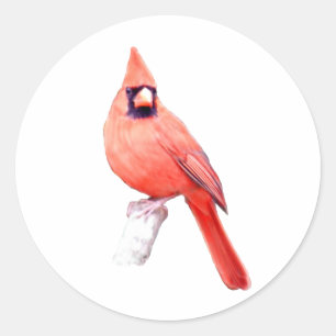 Beautiful Cardinal Classic Round Sticker