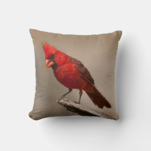 Beautiful Cardinal Cushion