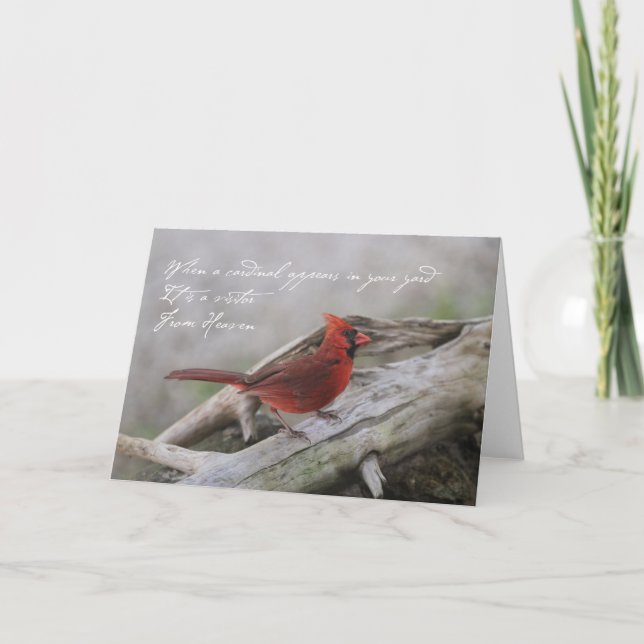 Beautiful cardinal with saying card (Front)