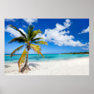 Beautiful Caribbean beach Poster