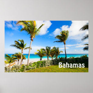 Beautiful Caribbean beach Poster