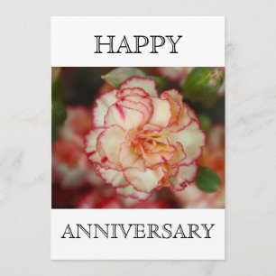 Beautiful Carnation Happy Anniversary Card