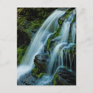 Beautiful Cascade Waterfall Postcard
