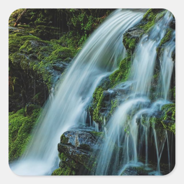 Beautiful Cascade Waterfall Sticker (Front)