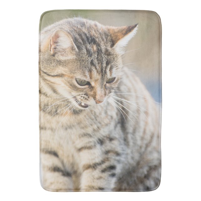 Beautiful cat bath mat (Front Vertical)