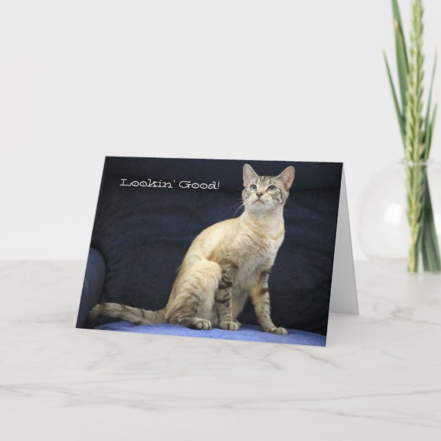 Beautiful Cat Birthday Card for Special Person (Front)
