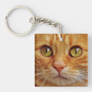Beautiful cat custom photo key ring