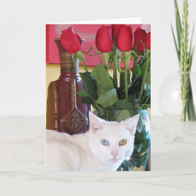 Beautiful Cat Greeting Card! Card (Front)