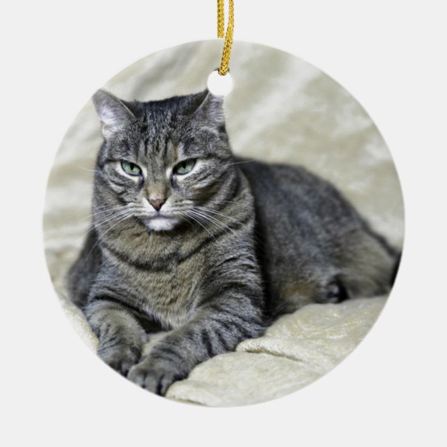 Beautiful Cat Laying Ceramic Tree Decoration (Front)