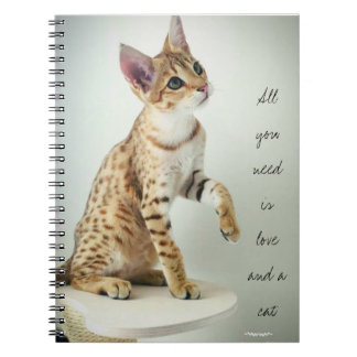 Beautiful cat lover notebook