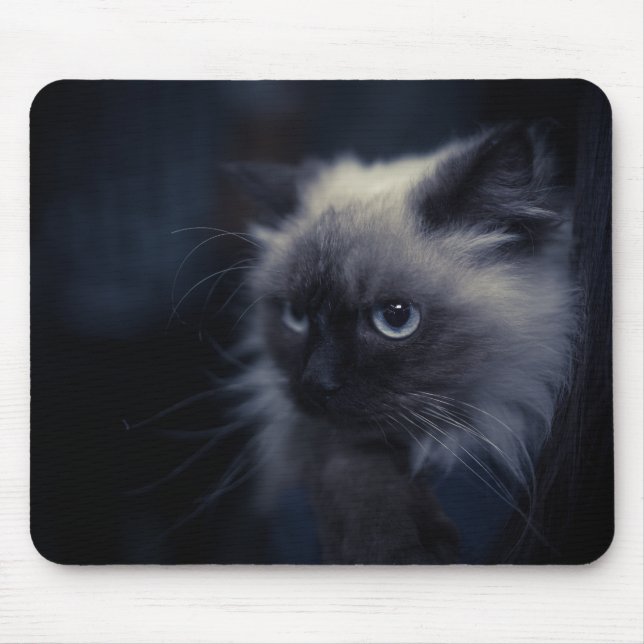 Beautiful cat mouse mat (Front)