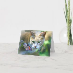 Beautiful Cat Note cards Blank Inside