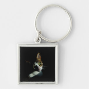 Beautiful Cat photo Key Ring