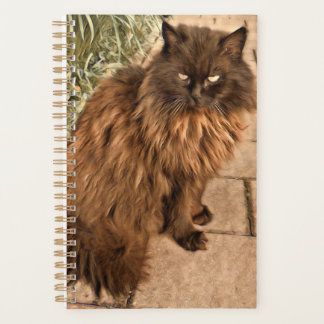 Beautiful cat planner