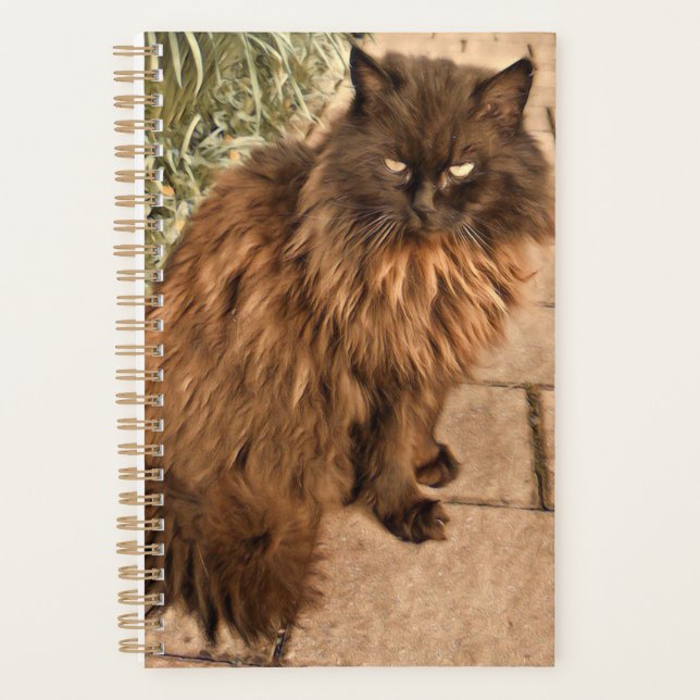 Beautiful cat planner (Front)