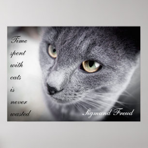 Beautiful cat quote poster - Motivational