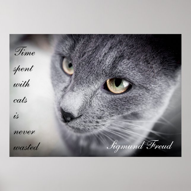 Beautiful cat quote poster - Motivational (Front)
