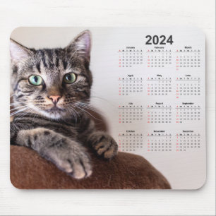 Beautiful Cat Resting 2024 Calendar Mouse Mat