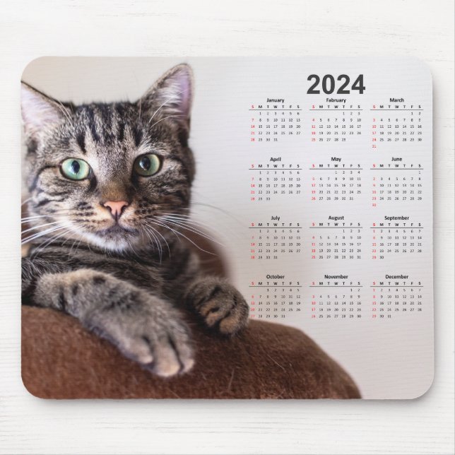 Beautiful Cat Resting 2024 Calendar Mouse Mat (Front)